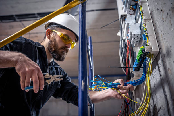Best 24-Hour Electrician  in Fowler, MI